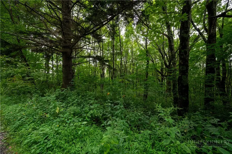 Lot 13 Wild Apple Drive, Blowing Rock, NC 28605 - #3