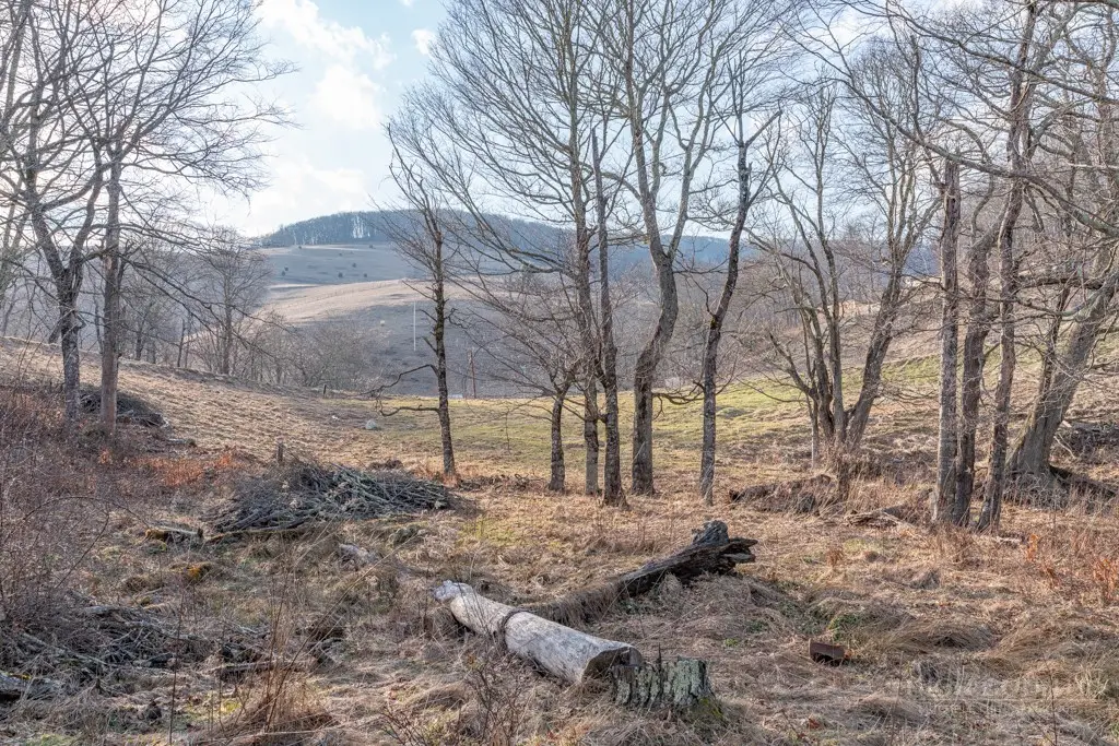 26 Great Sky Drive, Banner Elk, NC 28604 - #1