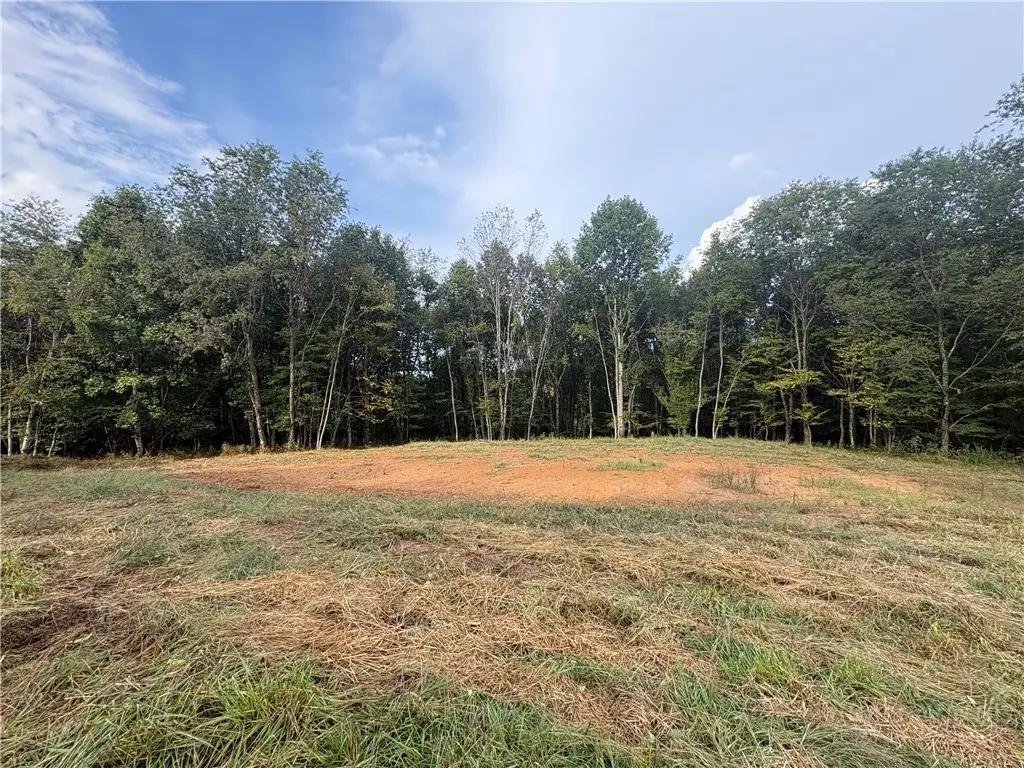 Lot 26 Fox Trot Lane, Sparta, NC 28675 - #1