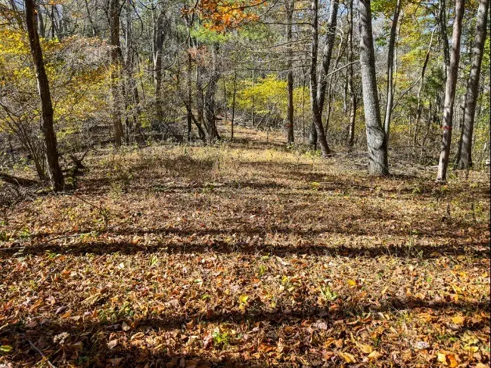 Lot 36 Deer Trail, Crumpler, NC 28617 - #2
