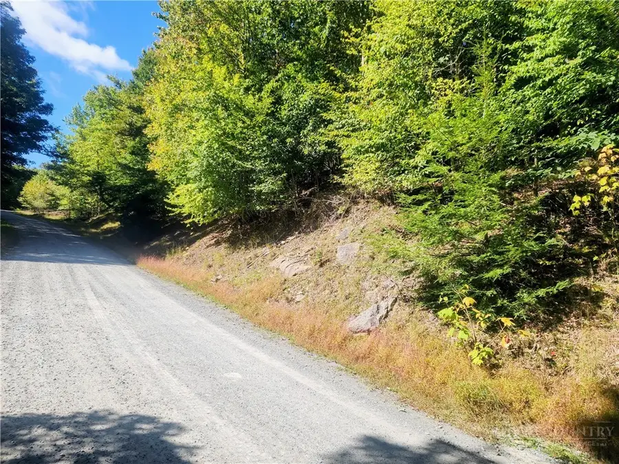 113 E Blueberry Lane, Beech Mountain, NC 28604 - #3