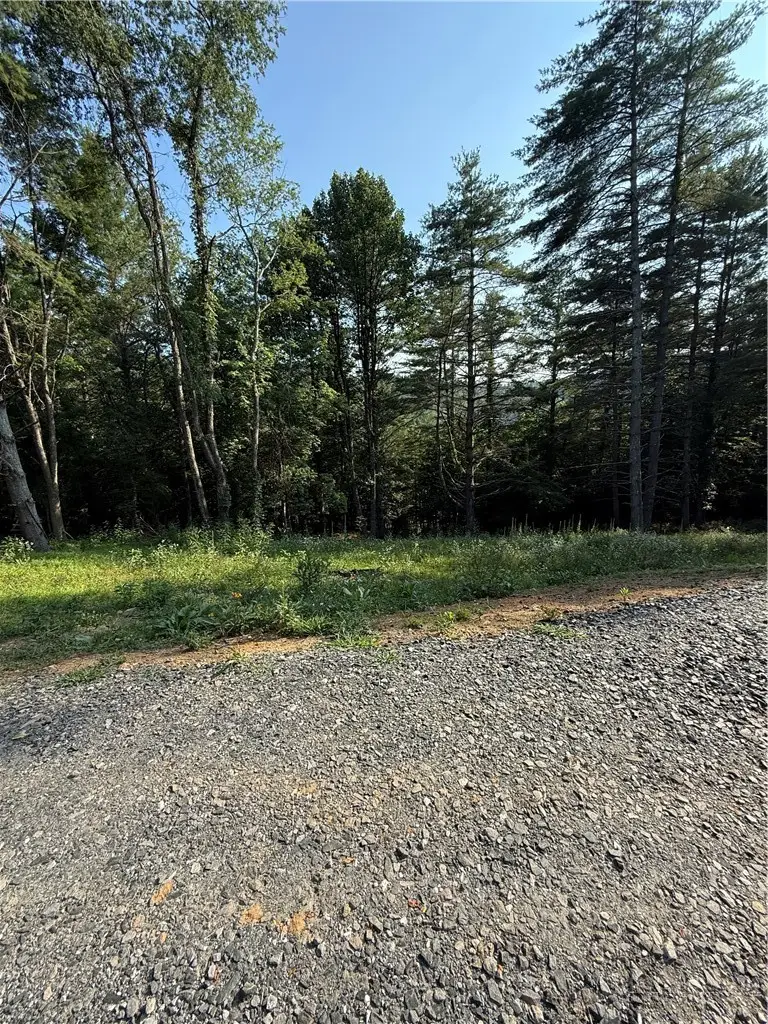 915, 951 Qc Smith Road, West Jefferson, NC 28694 - #1