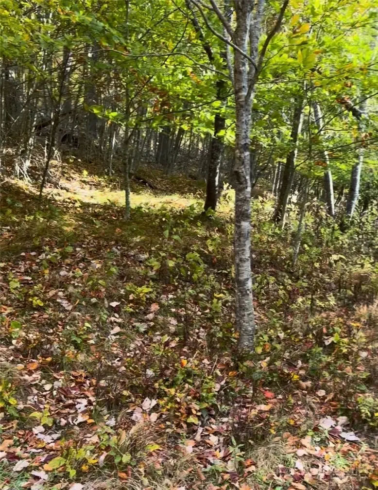 4 Fox Pointe, Banner Elk, NC 28604 - #2