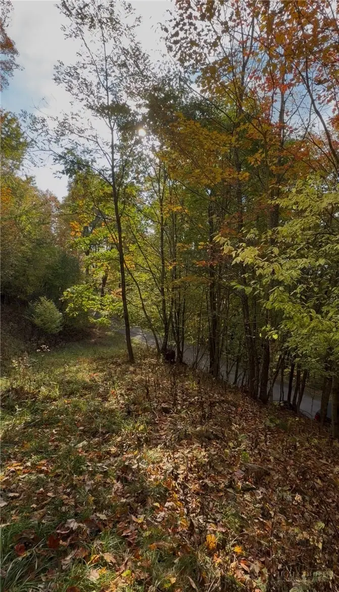 6 Wakeman Way, Banner Elk, NC 28604 - #2