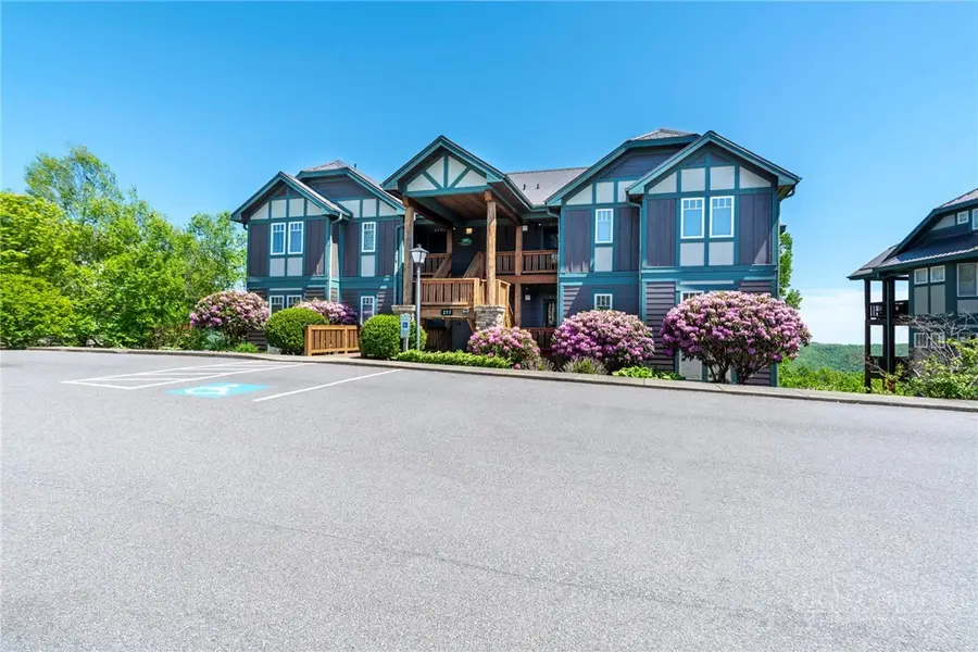 277 Indian Paintbrush Drive #R111, Banner Elk, NC 28604 - #2