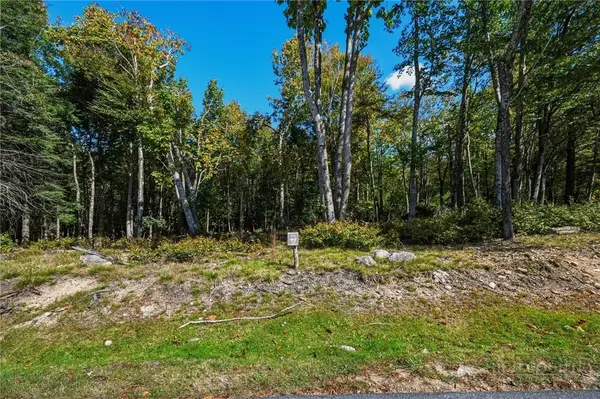 ES49 Rippling Waters Trail, Banner Elk, NC 28604