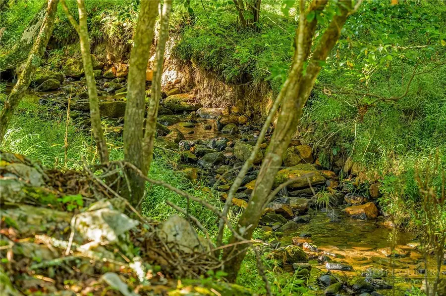 TBD - Lot 40 Creek Court, Jefferson, NC 28640 - #3