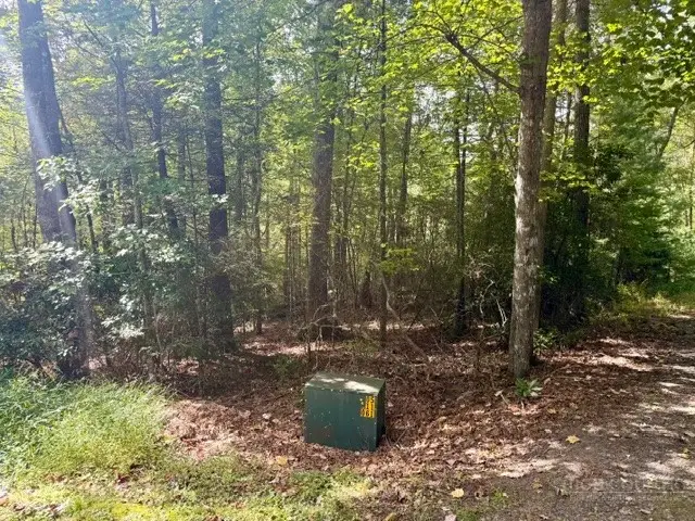 Lot 45 Peace Street, Fleetwood, NC 28626 - #2