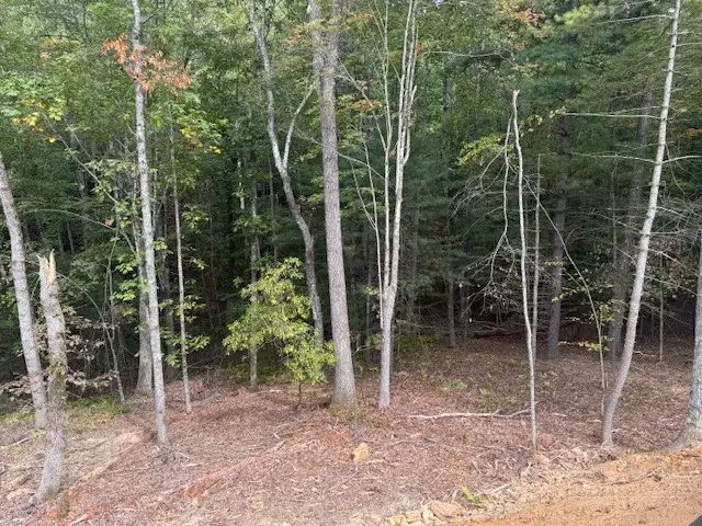 23 Peck Peak Road, Jefferson, NC 28640 - #3