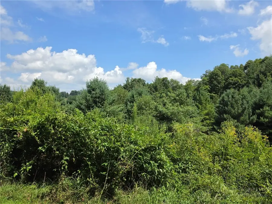 Lot 69 Green Meadows Drive, Todd, NC 28684 - #3