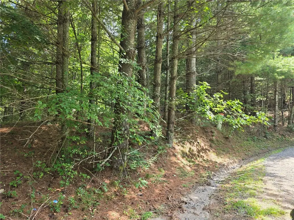 Lot 78 Green Meadows, Todd, NC 28684 - #1