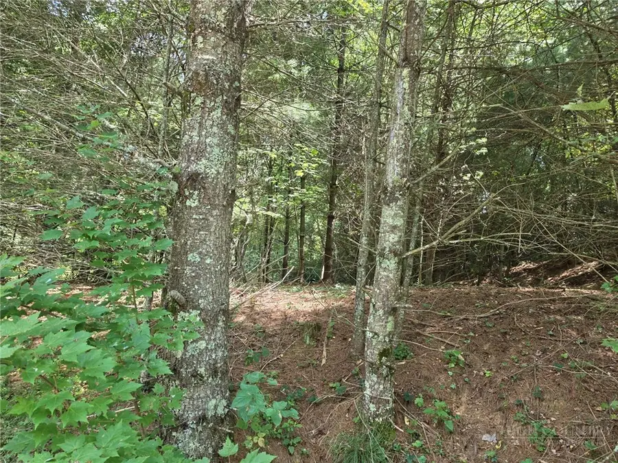 Lot 78 Green Meadows, Todd, NC 28684 - #2