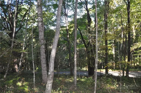 TBD E. Whenlin Ridge Road, Lansing, NC 28643
