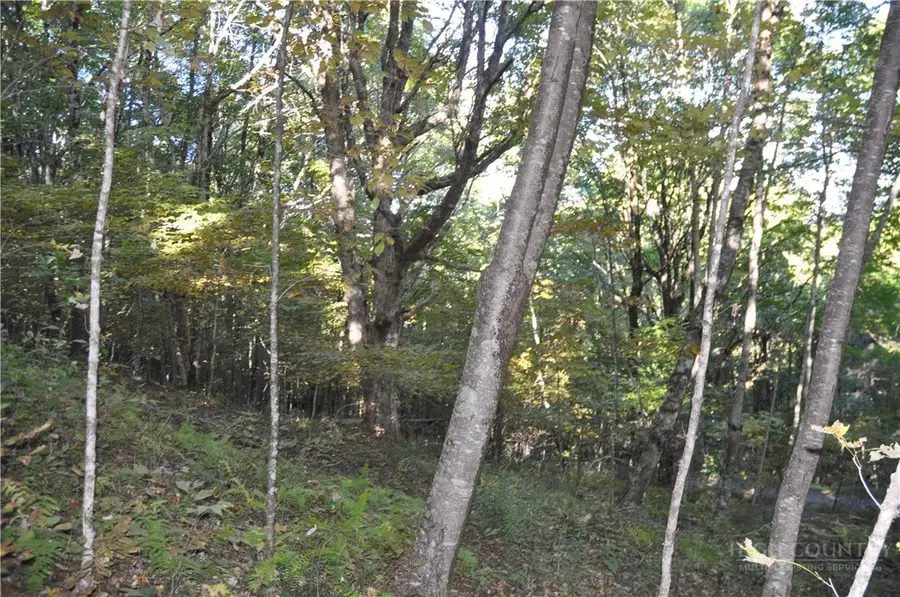 TBD E. Whenlin Ridge Road, Lansing, NC 28643 - #2