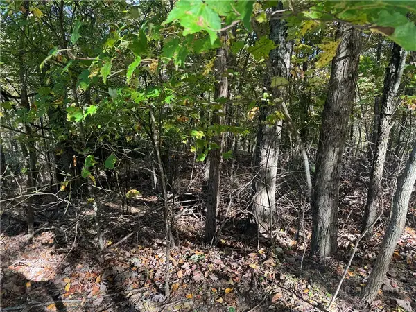 Lot 24 Larkspur Trail, Banner Elk, NC 28604