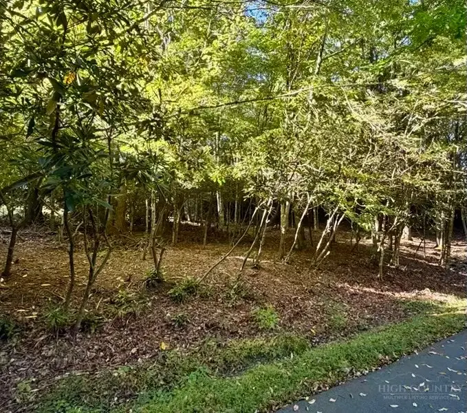 Lot 42 Crestwood Circle, Newland, NC 28657 - #3