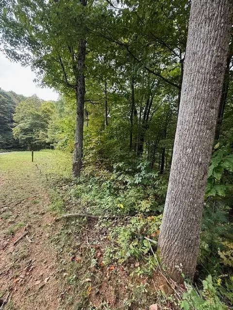 10 Granite Creek Circle, Jefferson, NC 28640 - #3