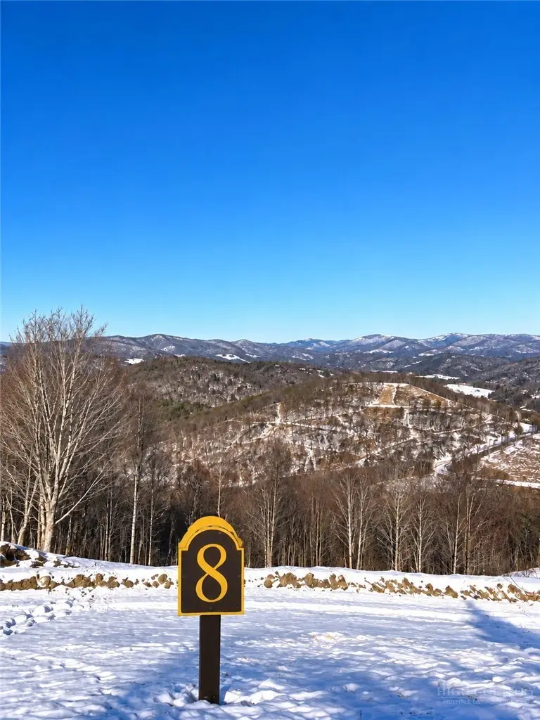 Lot 8 Pebble Creek Trail, Beech Mountain, NC 28604 - #3
