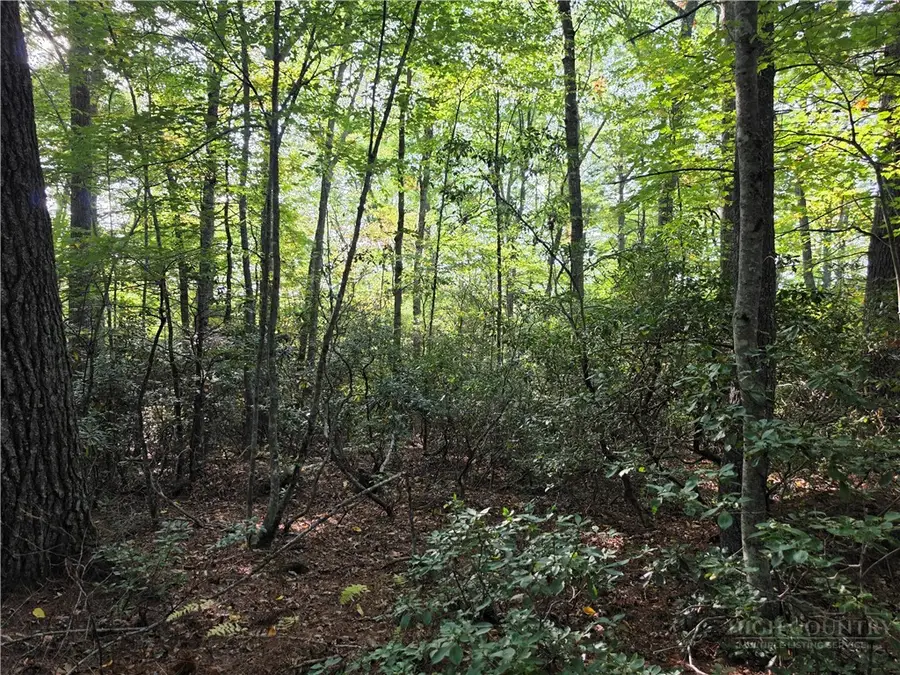 TBD Off Windy Acres Ridge Road, Fleetwood, NC 28626 - #2