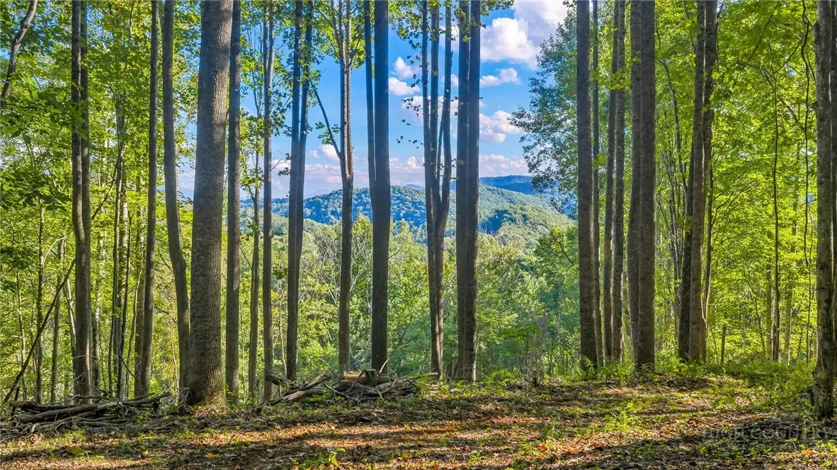 TBD Mud Creek Road, Whitetop, VA 24292 - #1