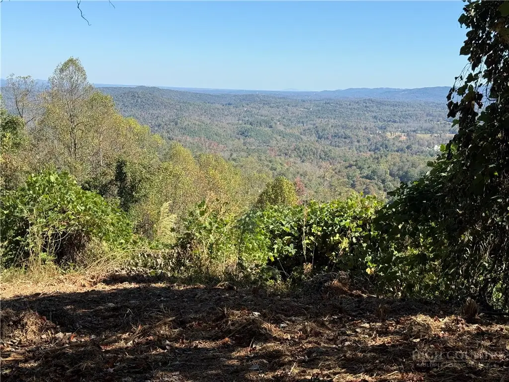 TBD Ridge Run Road, Boomer, NC 28606 - #1