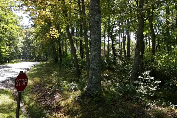 Lot 42 Rock Spring Circle, Sugar Mountain, NC 28604