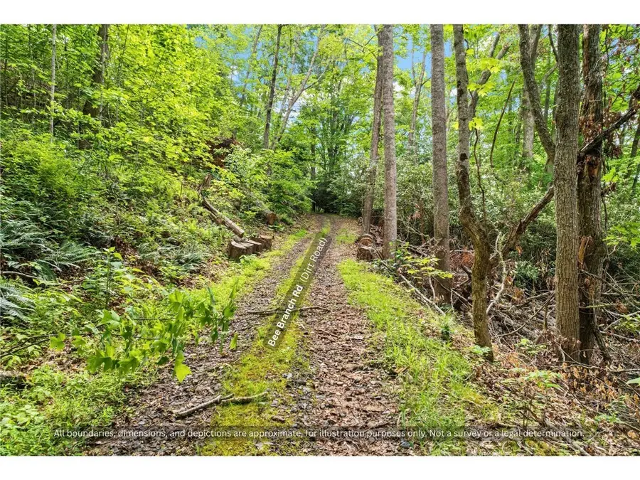 99999 Bee Branch Road, Bakersville, NC 28705 - #3