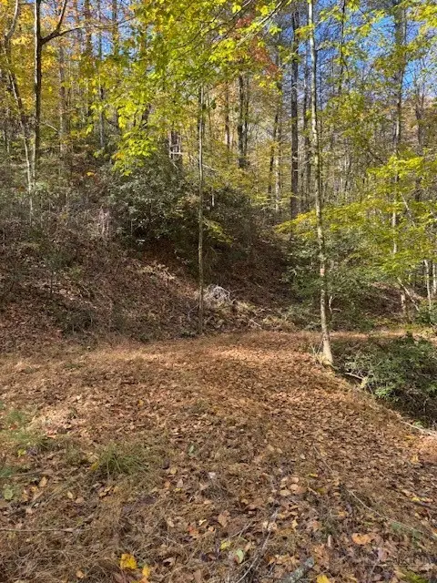 78 Holleridge Road, Ferguson, NC 28624