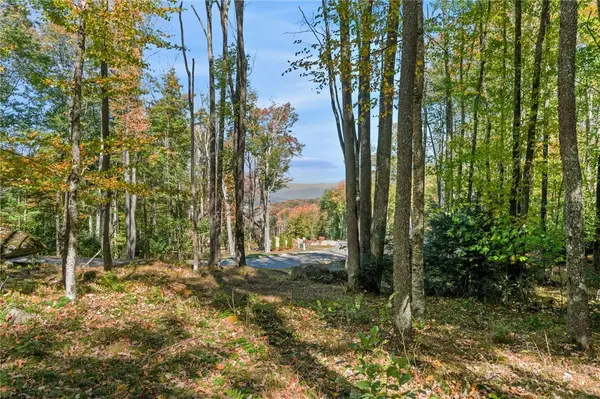 ES-97 Twisted Oak Path, Banner Elk, NC 28604