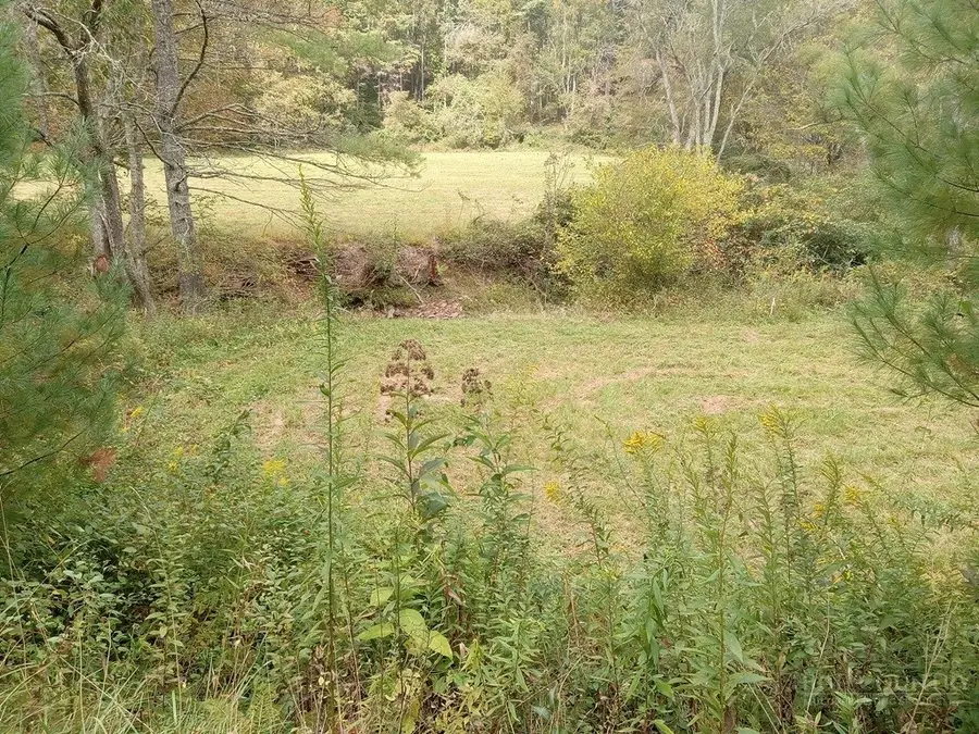 TBD Big Peak Creek Road, Laurel Springs, NC 28644 - #2