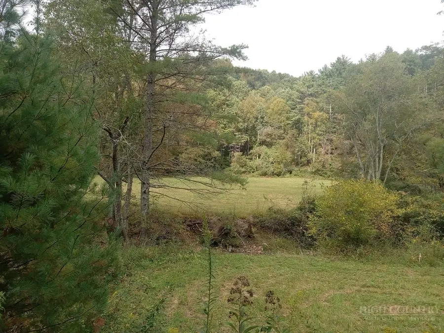 TBD Big Peak Creek Road, Laurel Springs, NC 28644 - #3