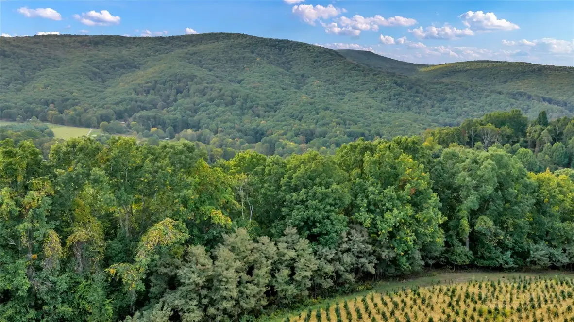 TBD 66A Low Gap, Troutdale, VA 24378 - #1