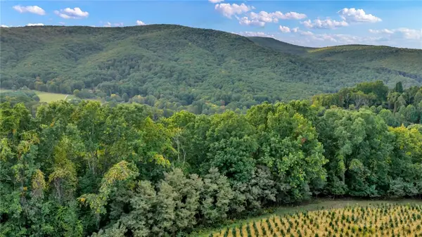 TBD 66A Low Gap, Troutdale, VA 24378