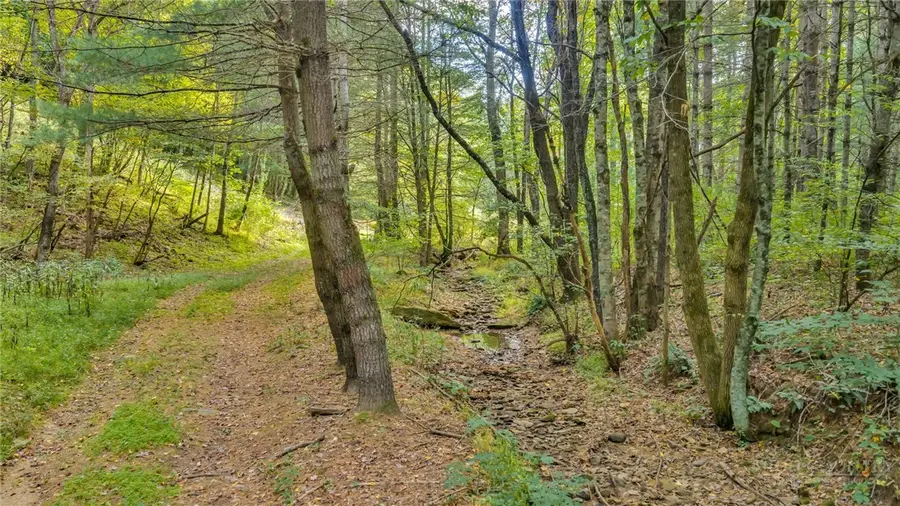 TBD 66A Low Gap, Troutdale, VA 24378 - #2