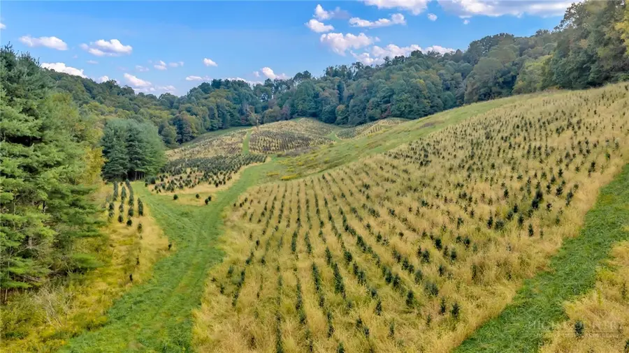TBD 66A Low Gap, Troutdale, VA 24378 - #3