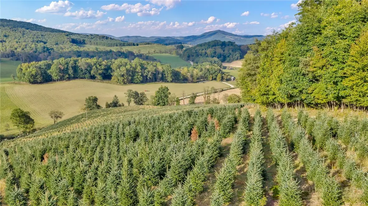 TBD 75A Low Gap, Troutdale, VA 24378 - #1
