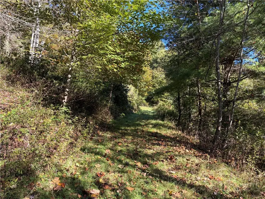 TBD Water Tank Road, West Jefferson, NC 28694 - #3