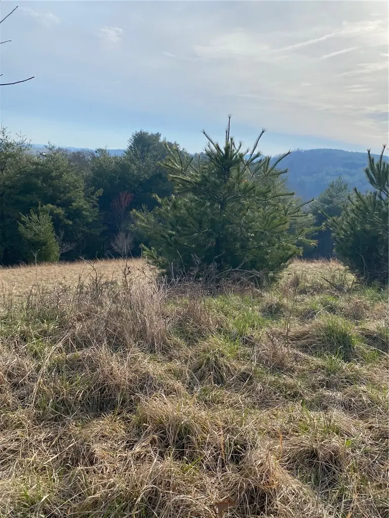 10 Autumn Glen Drive, Sparta, NC 28675 - #2