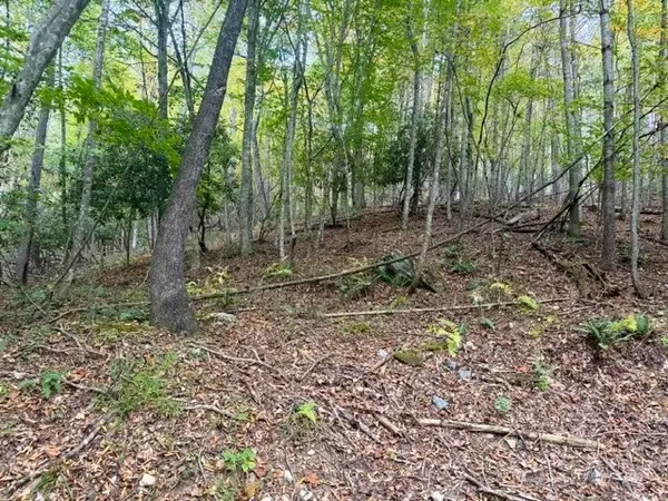 TBD E Weaver Ford Road, Grassy Creek, NC 28631