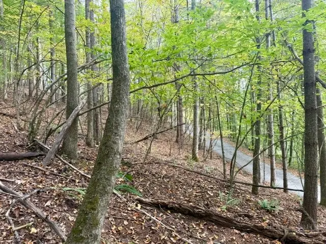 TBD E Weaver Ford Road, Grassy Creek, NC 28631 - #3