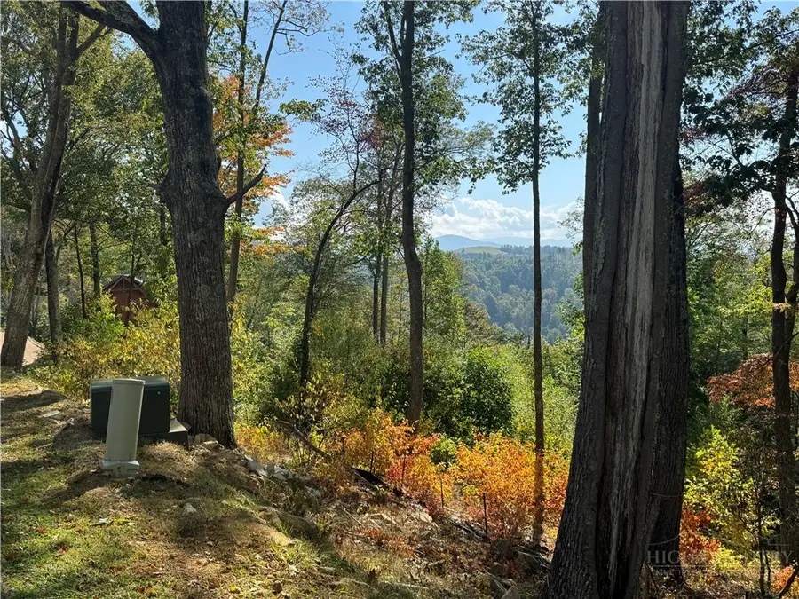 Lot 9 Eagles Crest Trail, Elk Park, NC 28622 - #2