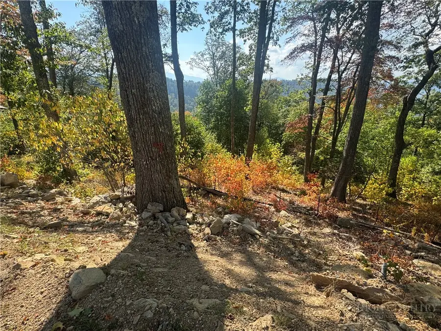 Lot 9 Eagles Crest Trail, Elk Park, NC 28622 - #3