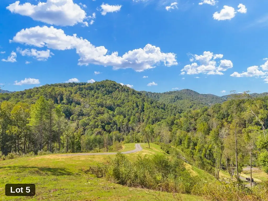 Lot 5 Horseshoe Trail, Lansing, NC 28643 - #1