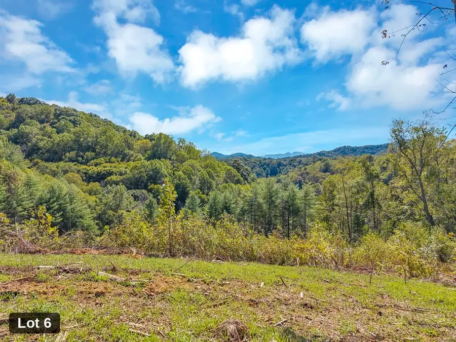 Lot 6 Horseshoe Trail, Lansing, NC 28643 - #2
