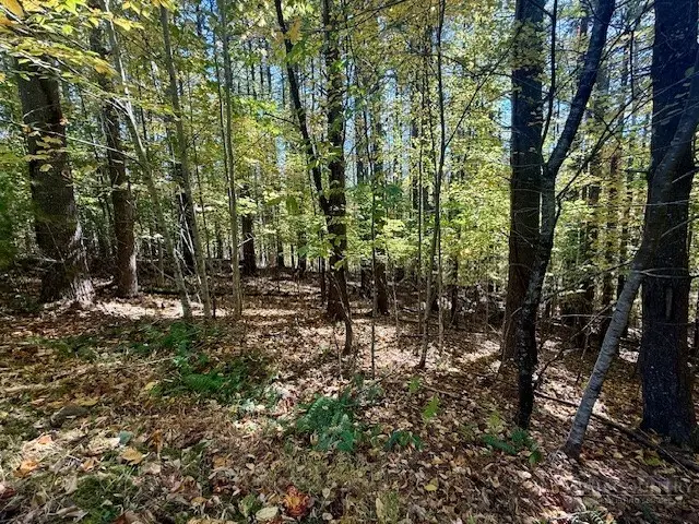 Lot 33 Woodland Valley Road, Jefferson, NC 28640 - #3