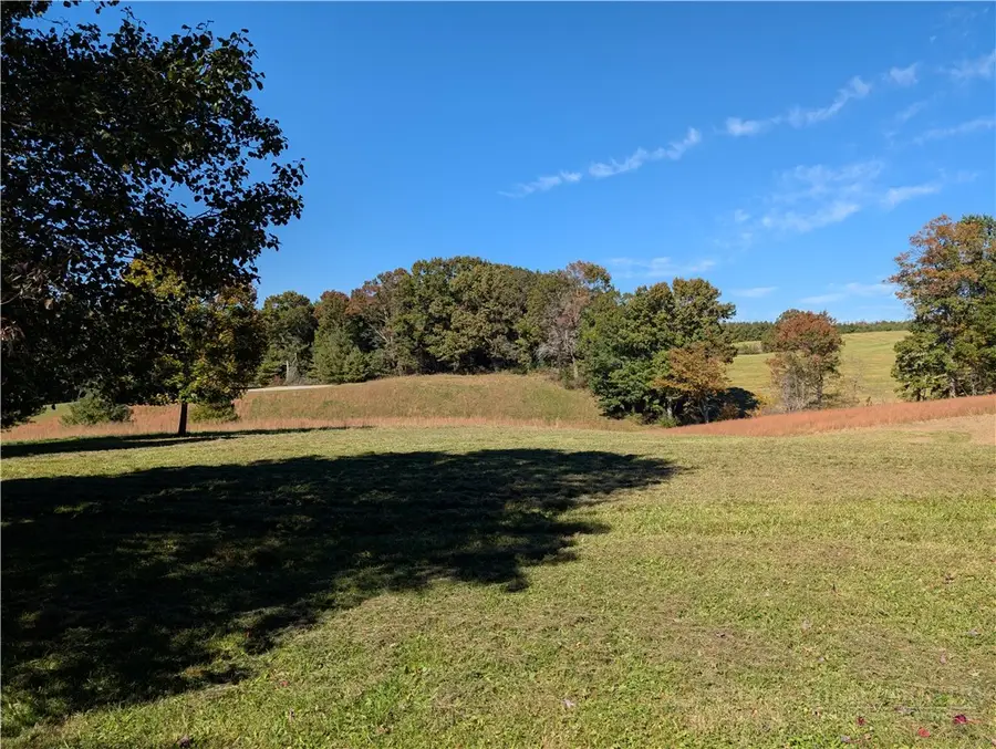 Lot 24 Bear Den Road, Sparta, NC 28675 - #2