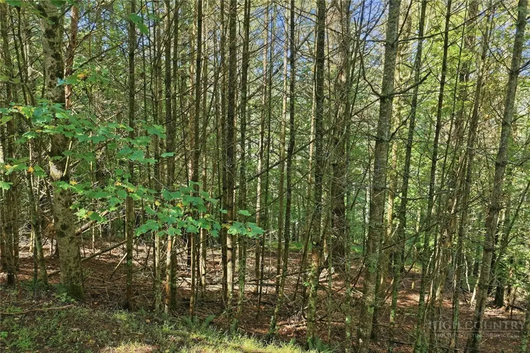 Lot 45 S Turkey Ridge Road, Walnut Hill, NC 28645 - #1