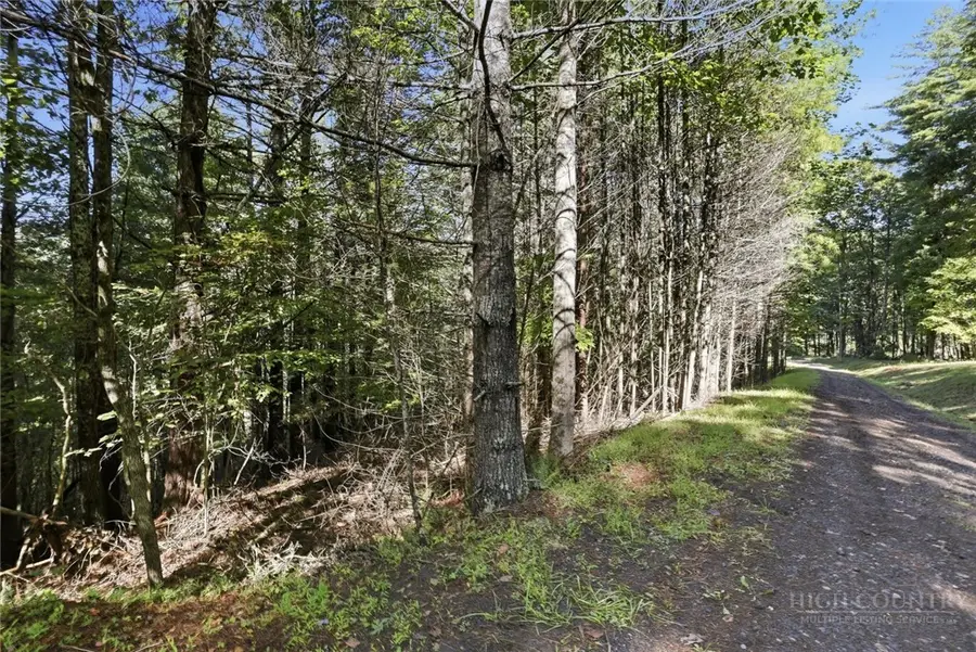 Lot 45 S Turkey Ridge Road, Walnut Hill, NC 28645 - #2