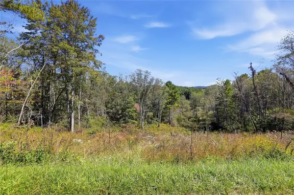 Lot 23 Lucky Hill Road, Grassy Creek, NC 28631