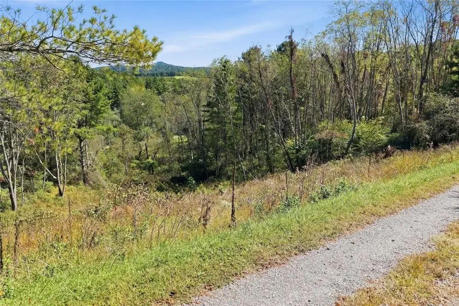 Lot 23 Lucky Hill Road, Grassy Creek, NC 28631 - #2